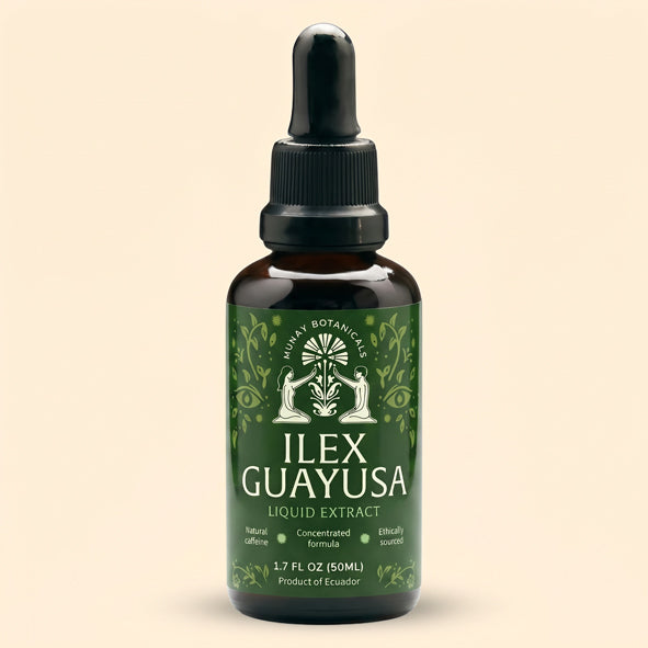 Munay Botanicals Organic Guayusa tincture bottle displayed on a clean background, featuring premium herbal extract for natural energy and wellness.