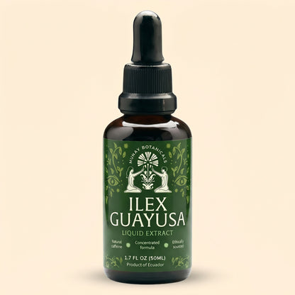 Munay Botanicals Organic Guayusa tincture bottle displayed on a clean background, featuring premium herbal extract for natural energy and wellness.