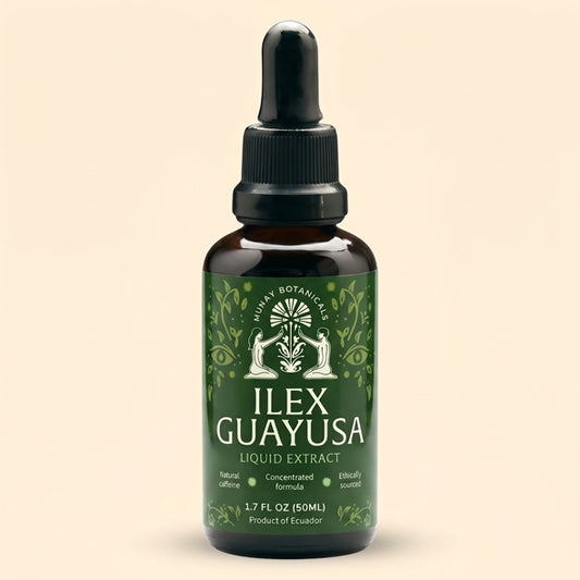 Munay Botanicals Organic Guayusa tincture bottle displayed on a clean background, featuring premium herbal extract for natural energy and wellness.