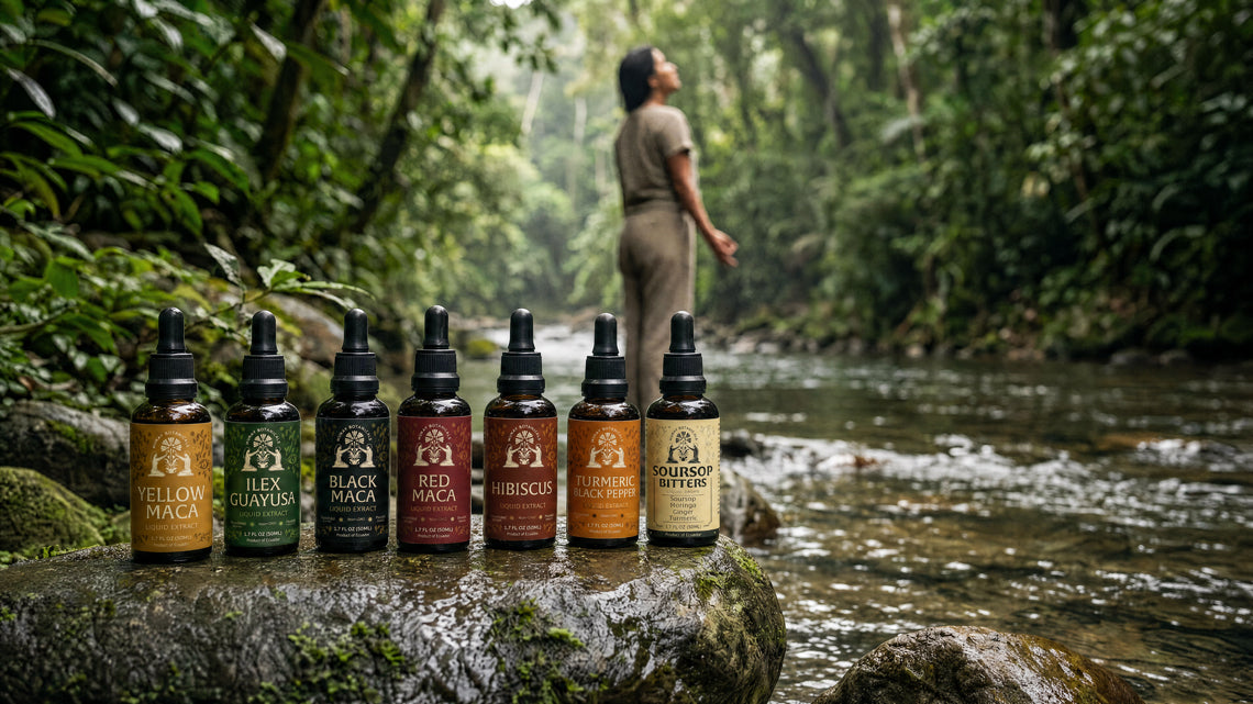 Seven Munay herbal extract bottles, including Yellow Maca, Ilex Guayusa, Black Maca and Red Maca, beside a forest stream.