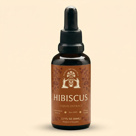 Munay Botanicals Organic Hibiscus tincture bottle displayed on a clean background, featuring premium herbal extract for daily wellness and vitality.