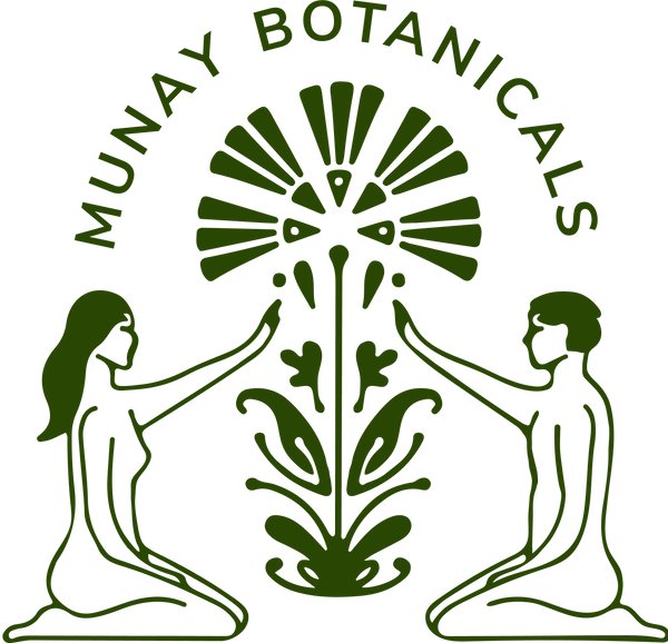 Munay Botanicals logo featuring Amazonian plants and botanical elements.